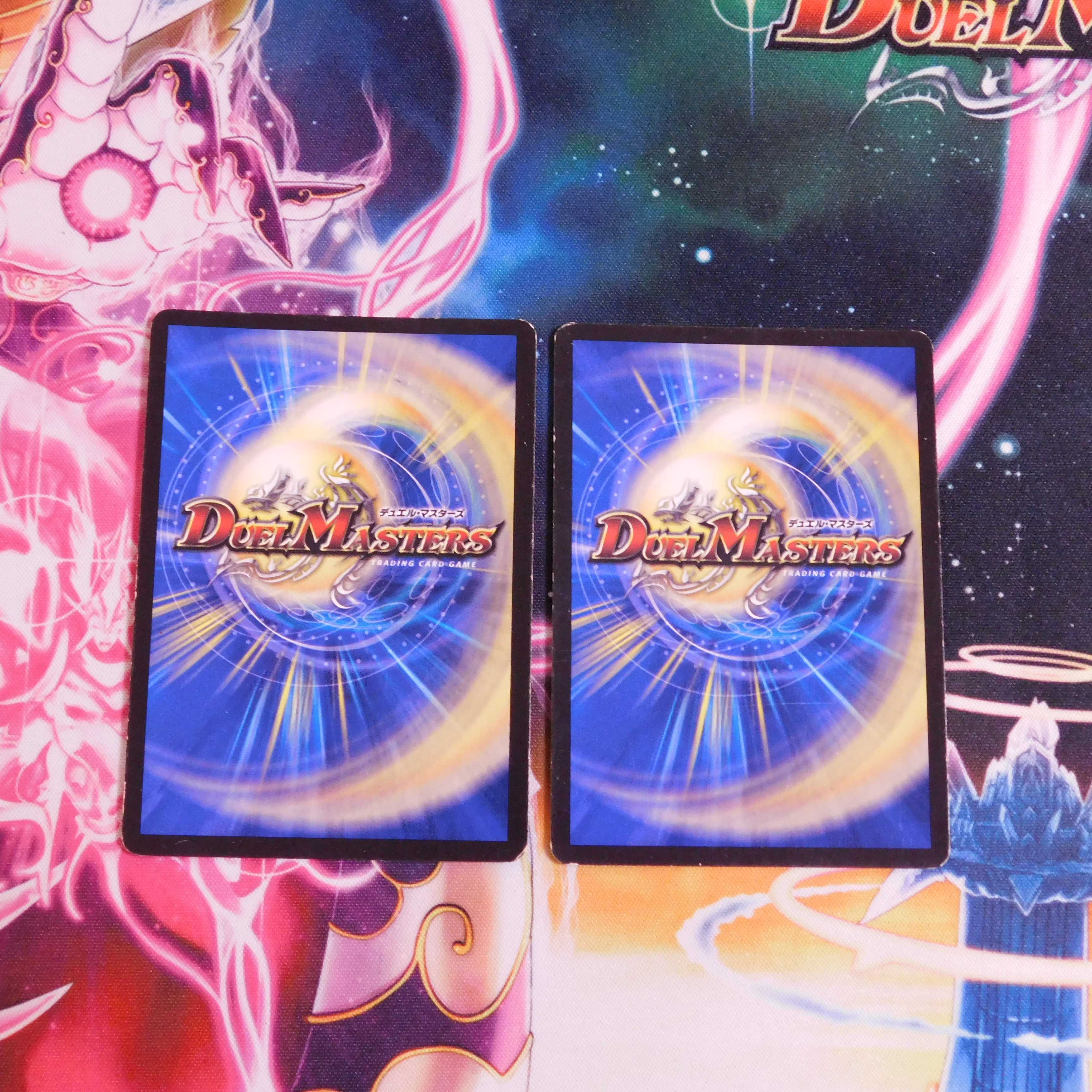 「智」の頂 レディオ・ローゼス　2枚