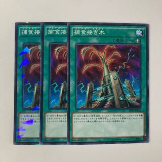 9829 Predapruning $5747