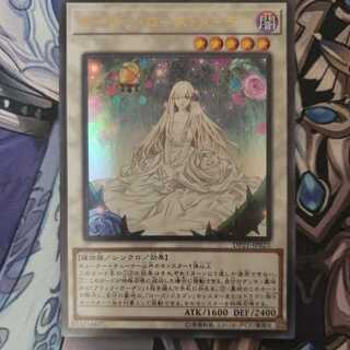 ガーデン・ローズ・メイデン