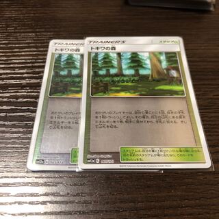 トキワの森　ミラー