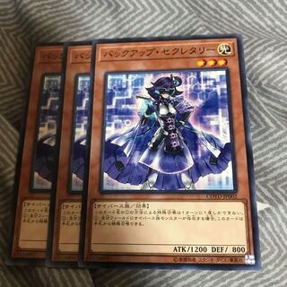 マドレース  バックアップ・セクレタリー