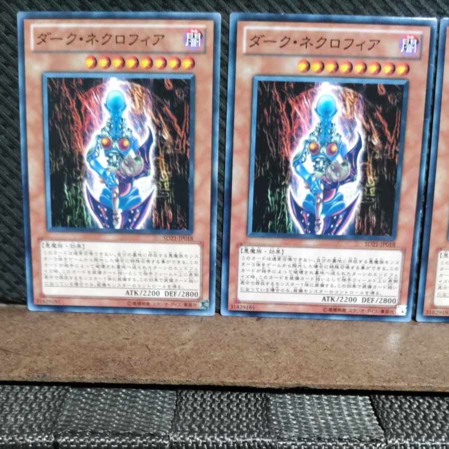 【ぽぽたん】遊戯王  #1362  ダーク・ネクロフィア  ノーマル  3枚