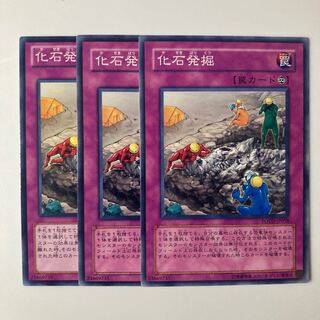 9900 Fossil Excavation $5839