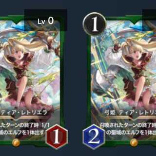 ティア2枚 Yさん専用