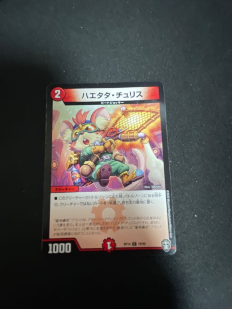 Haetata Chu Squirrel C 78/95