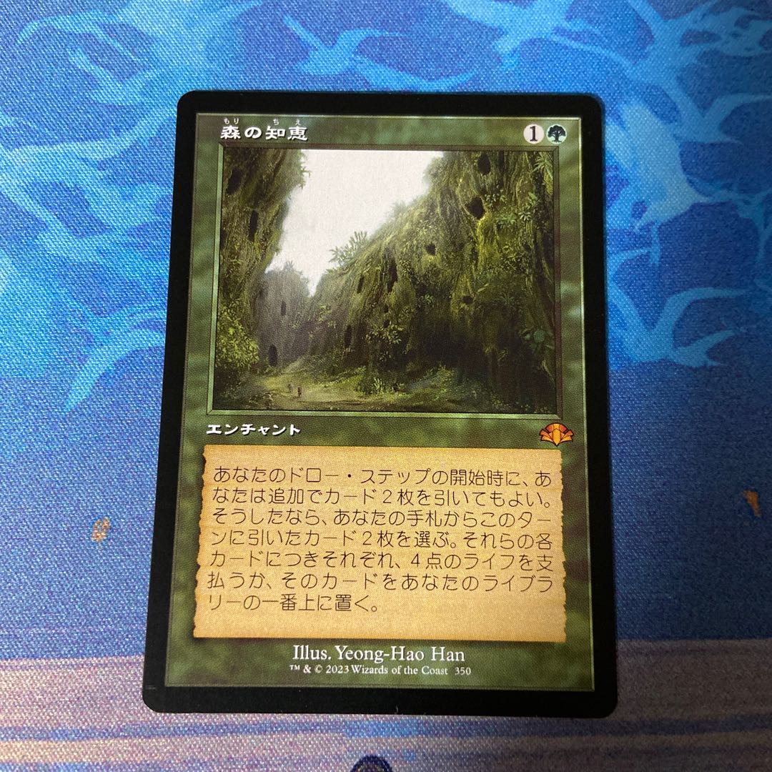 Sylvan Library DMR Old Frame