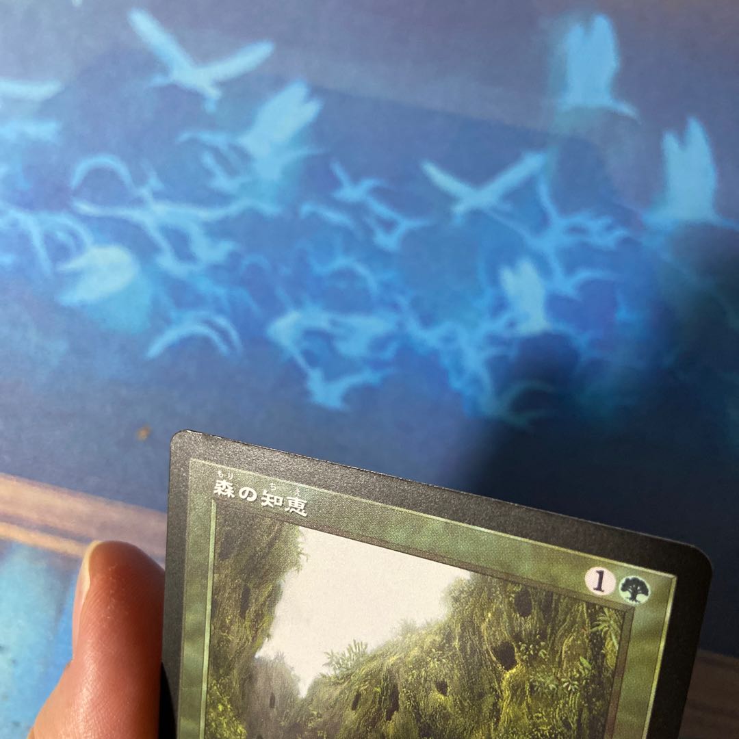 Sylvan Library DMR Old Frame