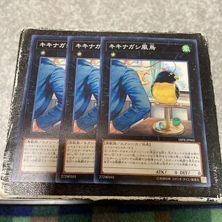 キキナガシ風鳥 ノーマル3枚