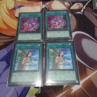 貪欲と聖槍専用