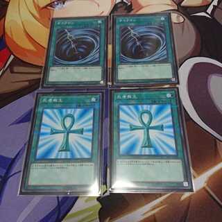 サイクロンと死者蘇生専用