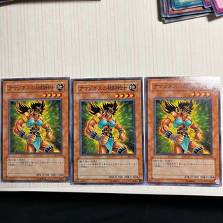 アマゾネスの格闘戦士