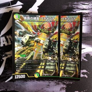 族長の魂友ワチャゴナ