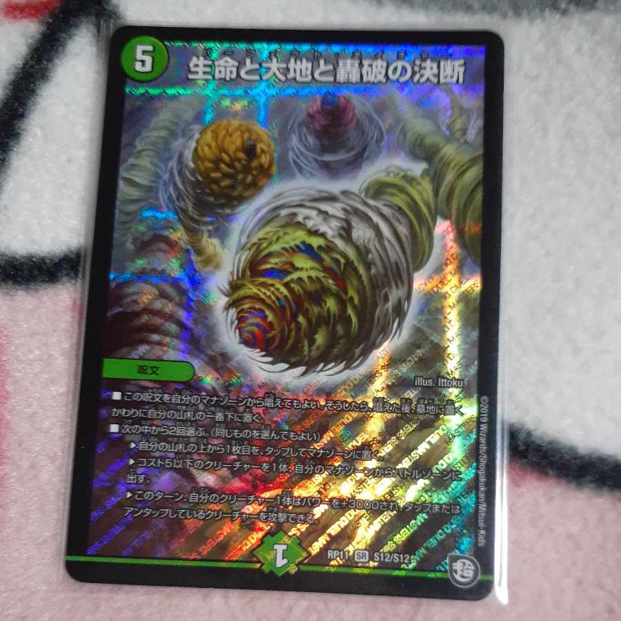 Life Life, Earth and Roaring Decision SR S12/S12