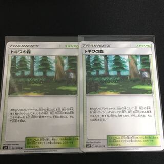 トキワの森 2枚