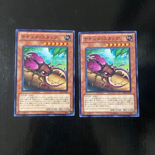 ナチュル・スタッグ ノーマル JP032 2枚セット