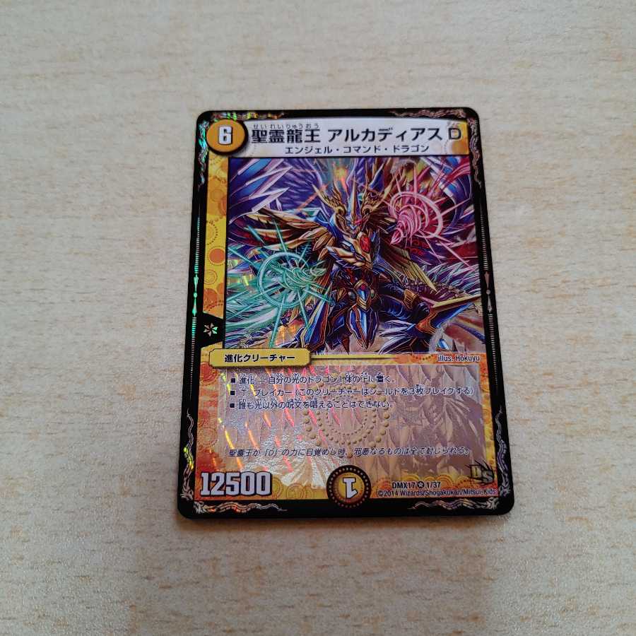 聖霊龍王アルカディアスD