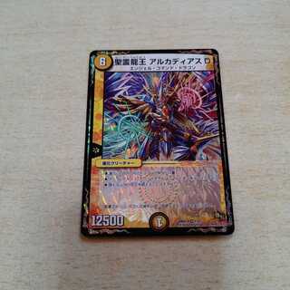 聖霊龍王アルカディアスD