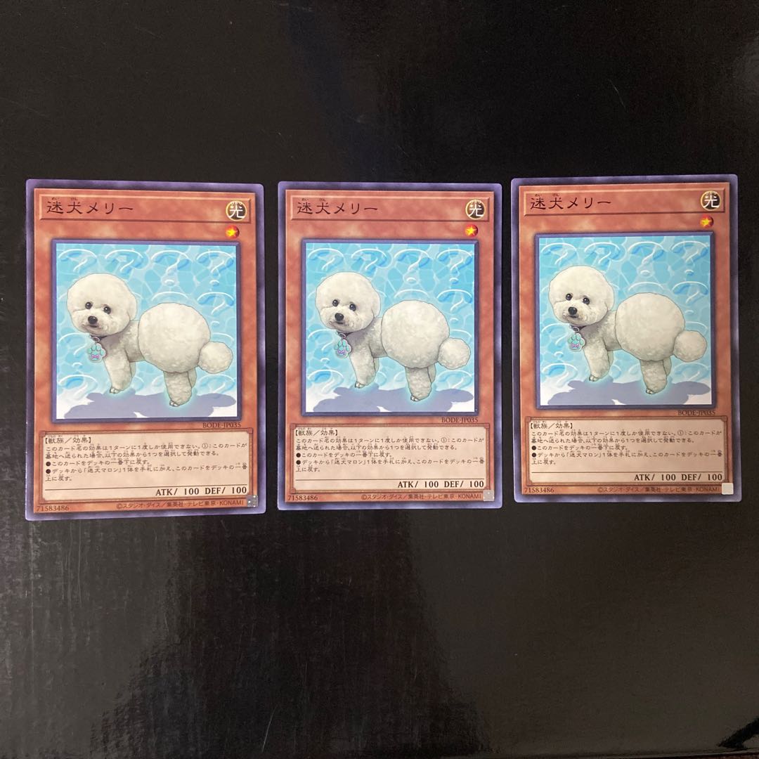 迷犬メリー ノーマルレア JP035 3枚セット