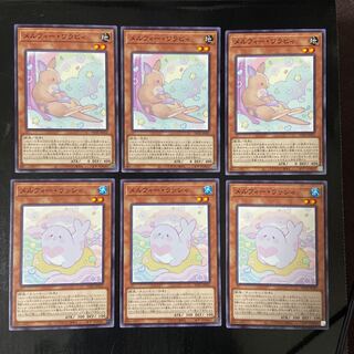 Melfie Wallaby Normal JP022 3 Melfie Lassie JP023 3