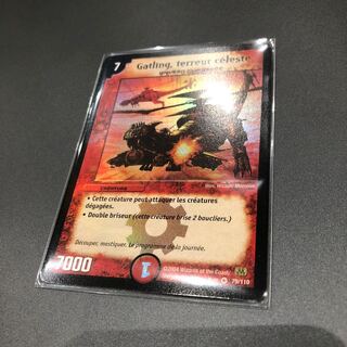 ガトリングワイバーン フランス語版