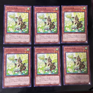 マタタビ仙狸 ノーマル JP031 6枚セット