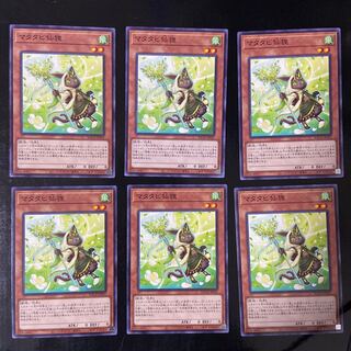 マタタビ仙狸 ノーマル JP031 6枚セット