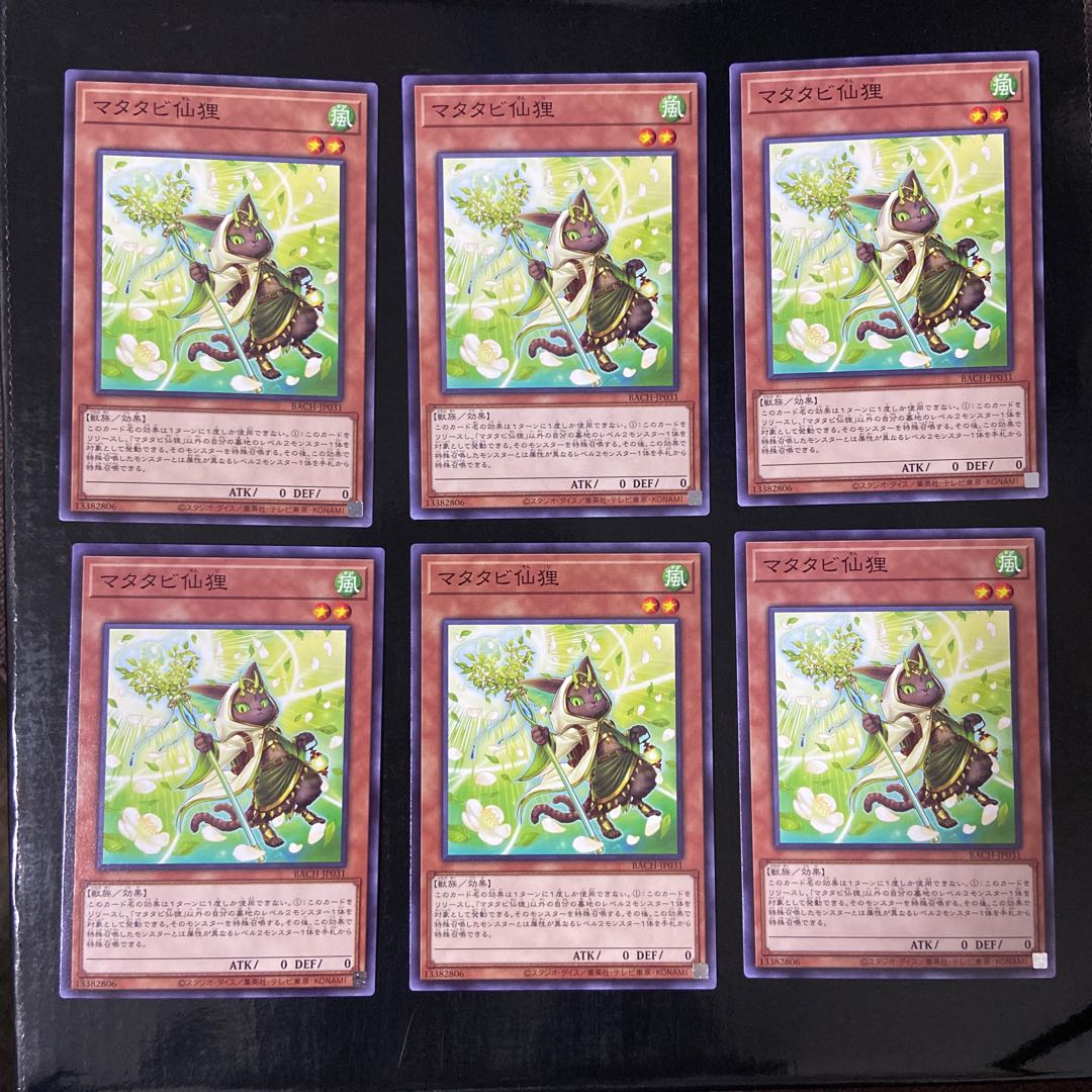 マタタビ仙狸 ノーマル JP031 6枚セット