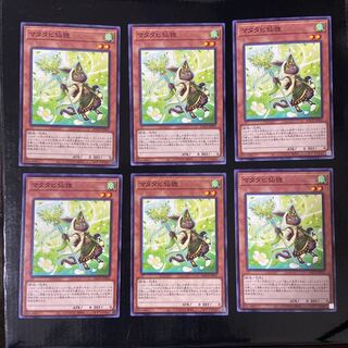 マタタビ仙狸 ノーマル JP031 6枚セット