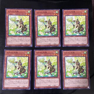 マタタビ仙狸 ノーマル JP031 6枚セット