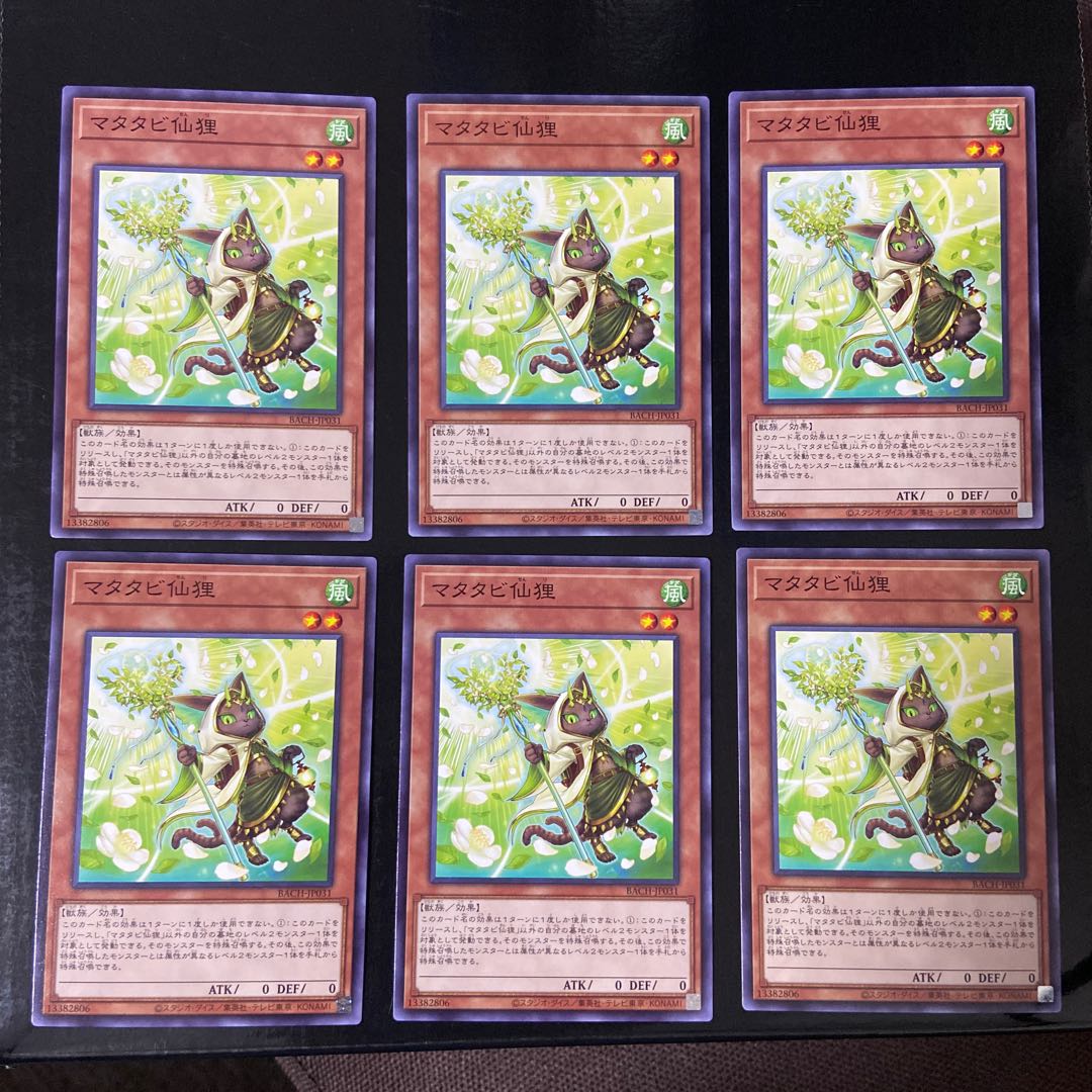 Matatabi Sengan Raccoon Normal JP031, set of 6