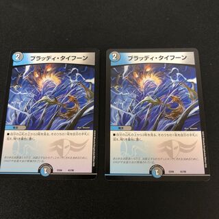 ブラッディ・タイフーン　2枚