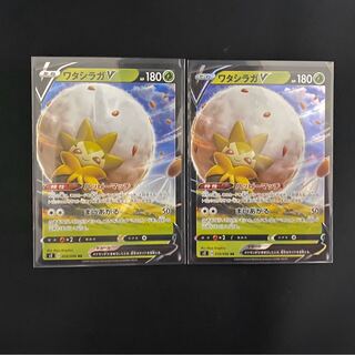 ワタシラガV 2枚セット