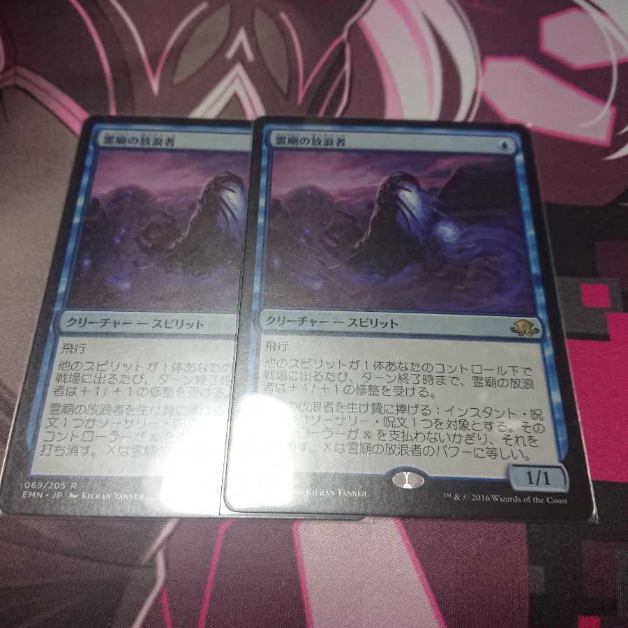 霊廟の放浪者 2枚