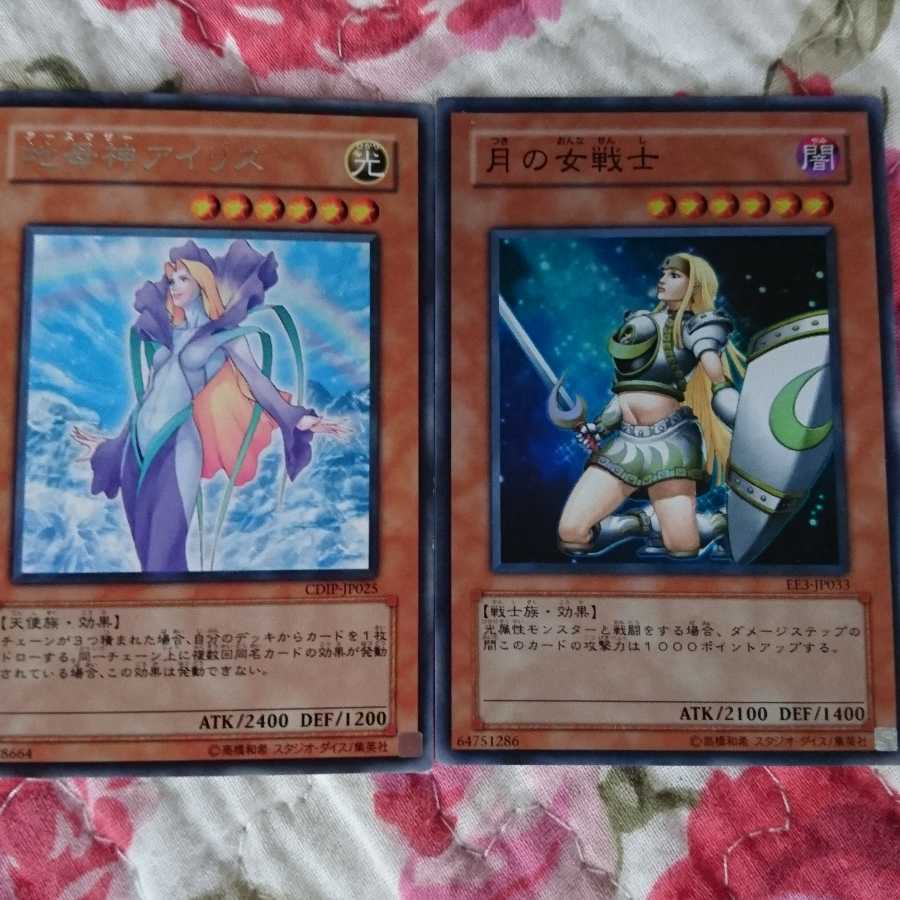 デュミナス・ヴァルキリア他 1枚