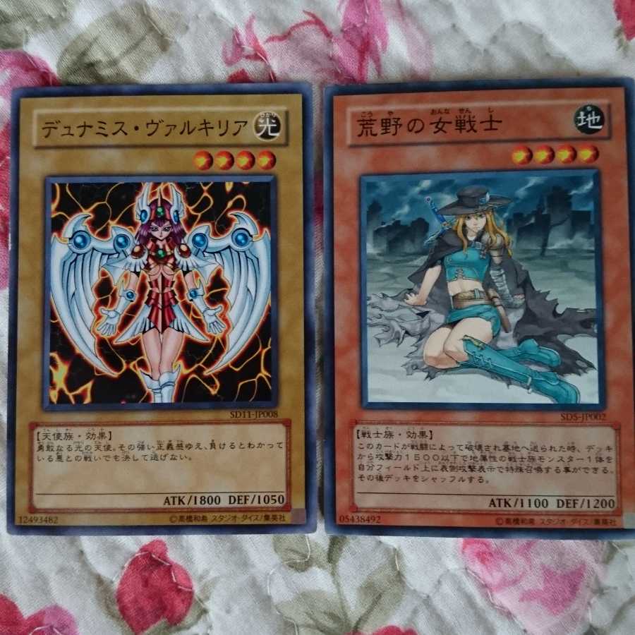 デュミナス・ヴァルキリア他 1枚