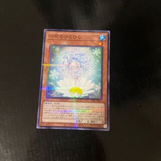 Rikka Petal parallel normal JP054