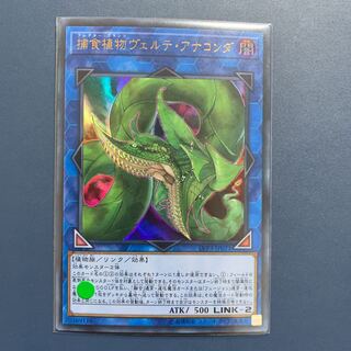 遊戯王 ヴェルテアナコンダ 【ウルトラレア 】