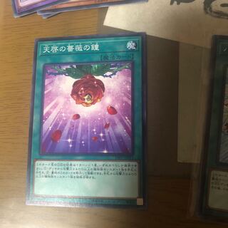 天啓の薔薇の鐘　