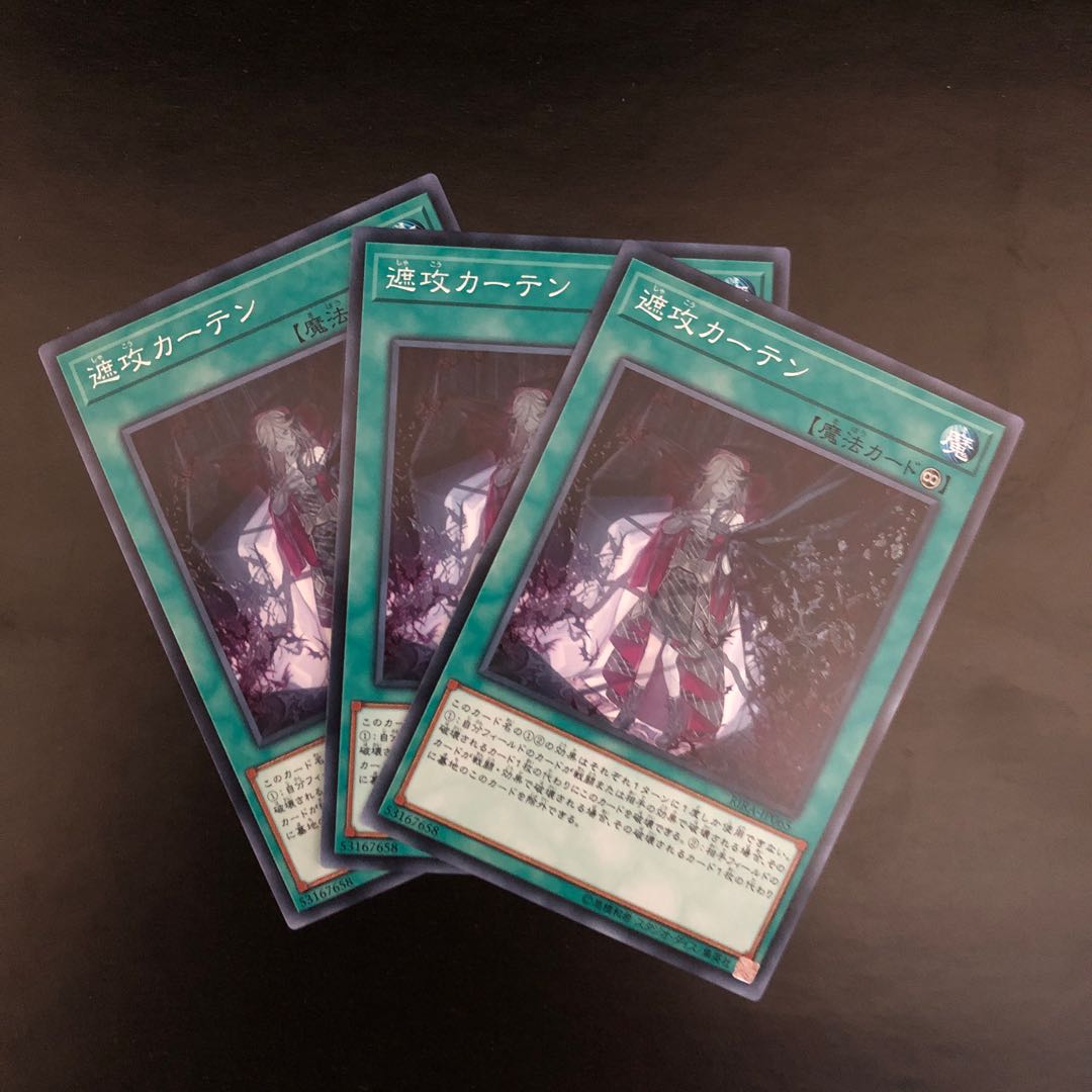 【N】遮攻カーテン【ノーマル】