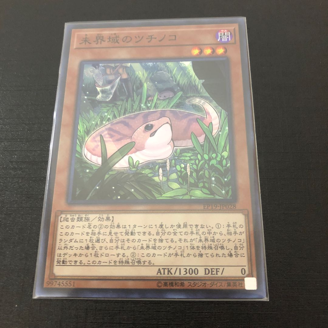 最安値 未界域のツチノコ