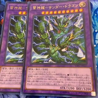 雷神龍サンダードラゴン　アジア　2枚