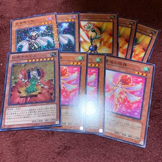 紅媛チルビメ　薔薇の妖精