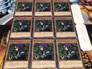 黒き森のウィッチ ノーマル 9枚セット