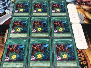 融合 初期 ノーマル 9枚セット