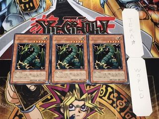 サンダー・ドラゴン DL4-031 レア 3枚セット 3枚