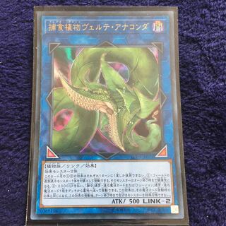 捕食植物ヴェルテアナコンダ ウルトラ