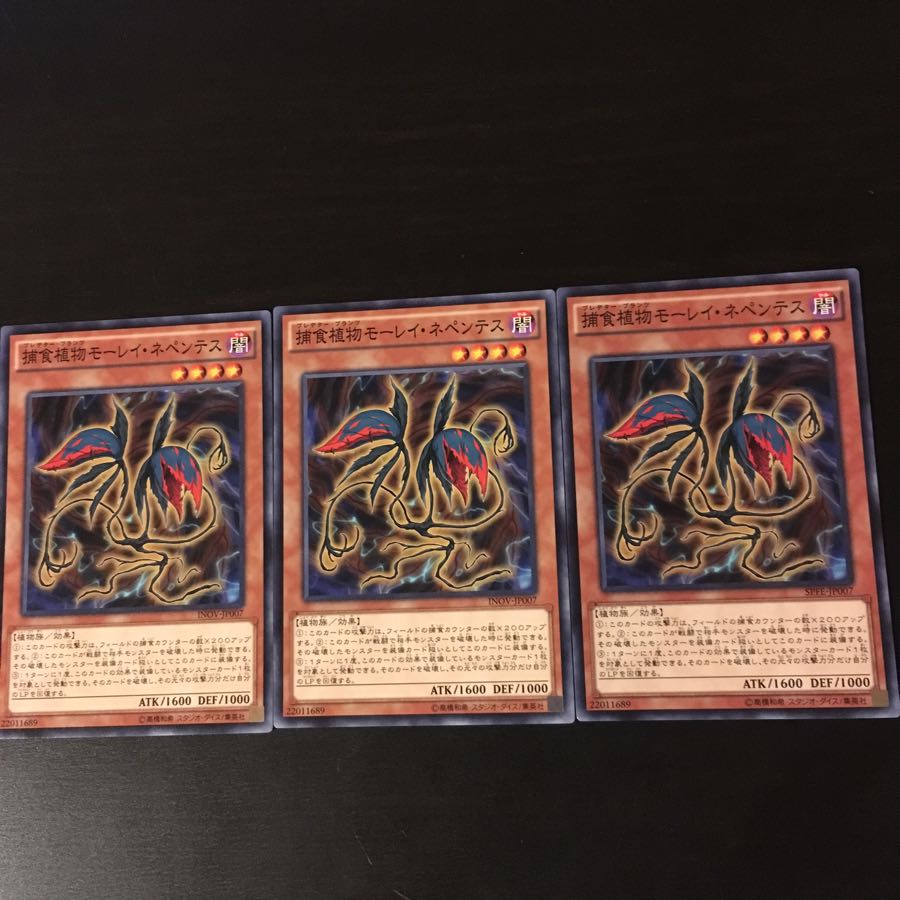 Prey Upon Plant Morley Nepenthes 3 sheets