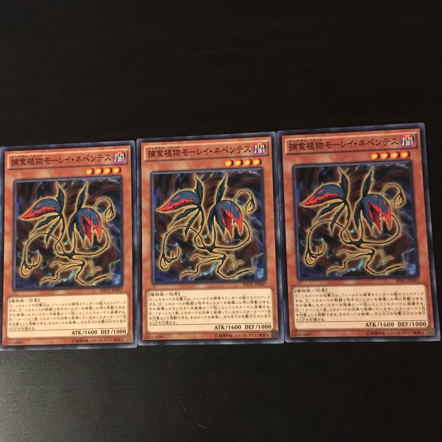 Prey Upon Plant Morley Nepenthes 3 sheets