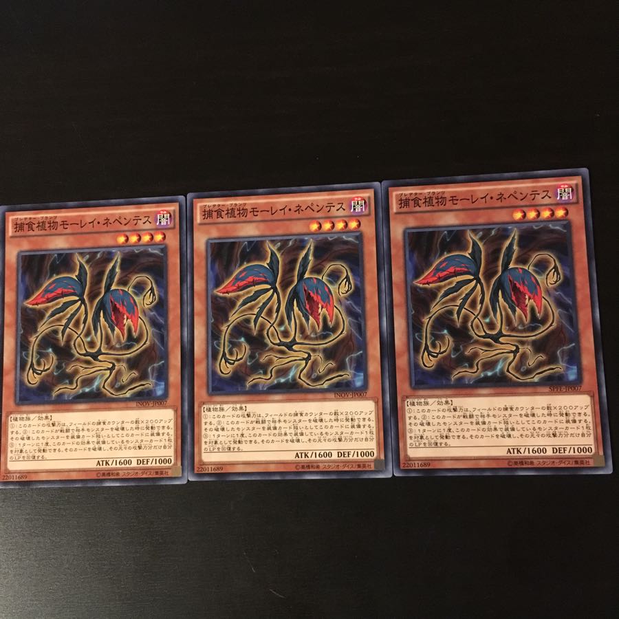 Prey Upon Plant Morley Nepenthes 3 sheets