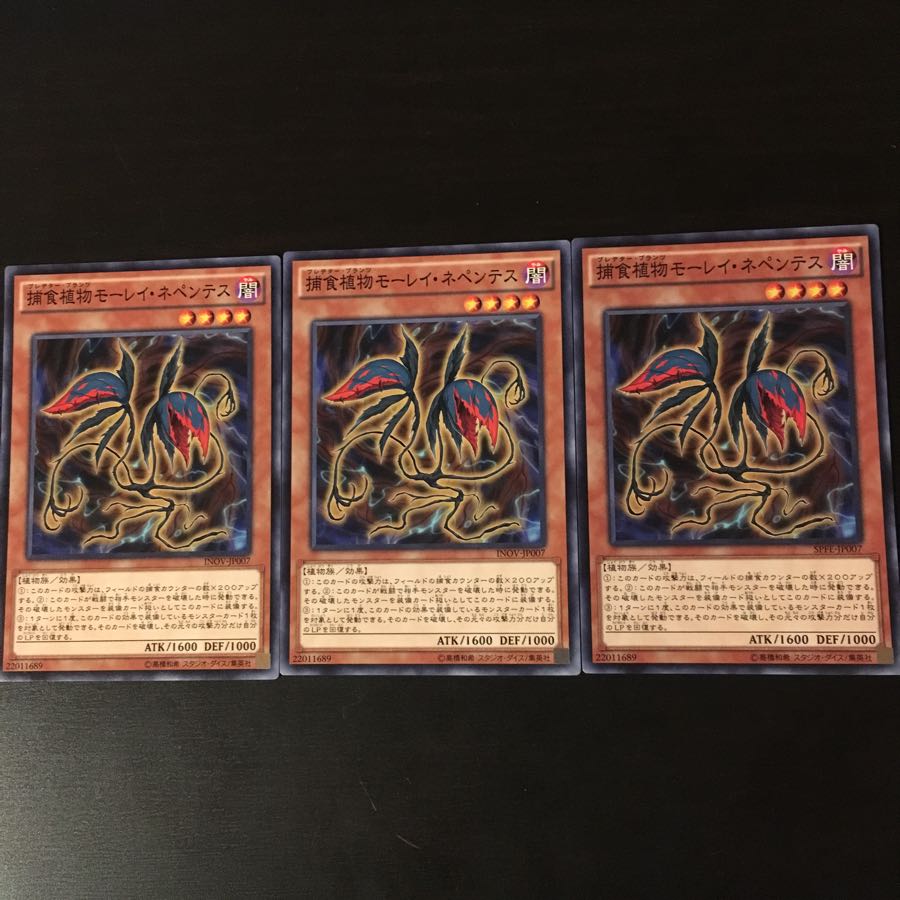 Prey Upon Plant Morley Nepenthes 3 sheets